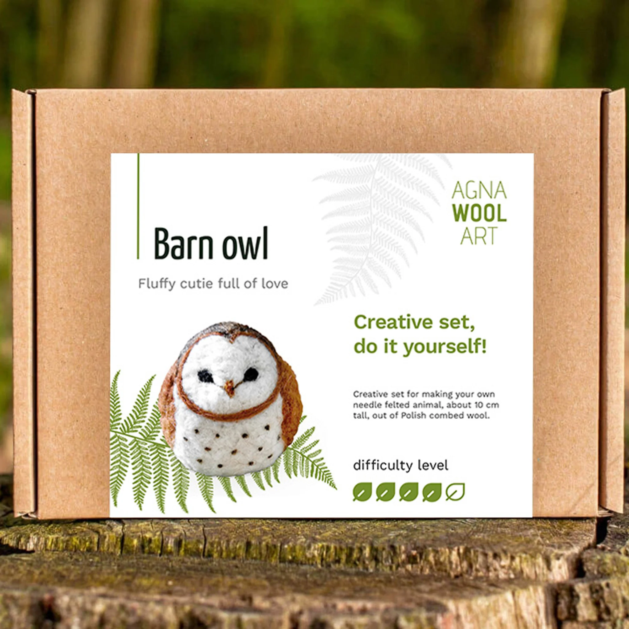 Barn Owl Felting Kit - Image 2