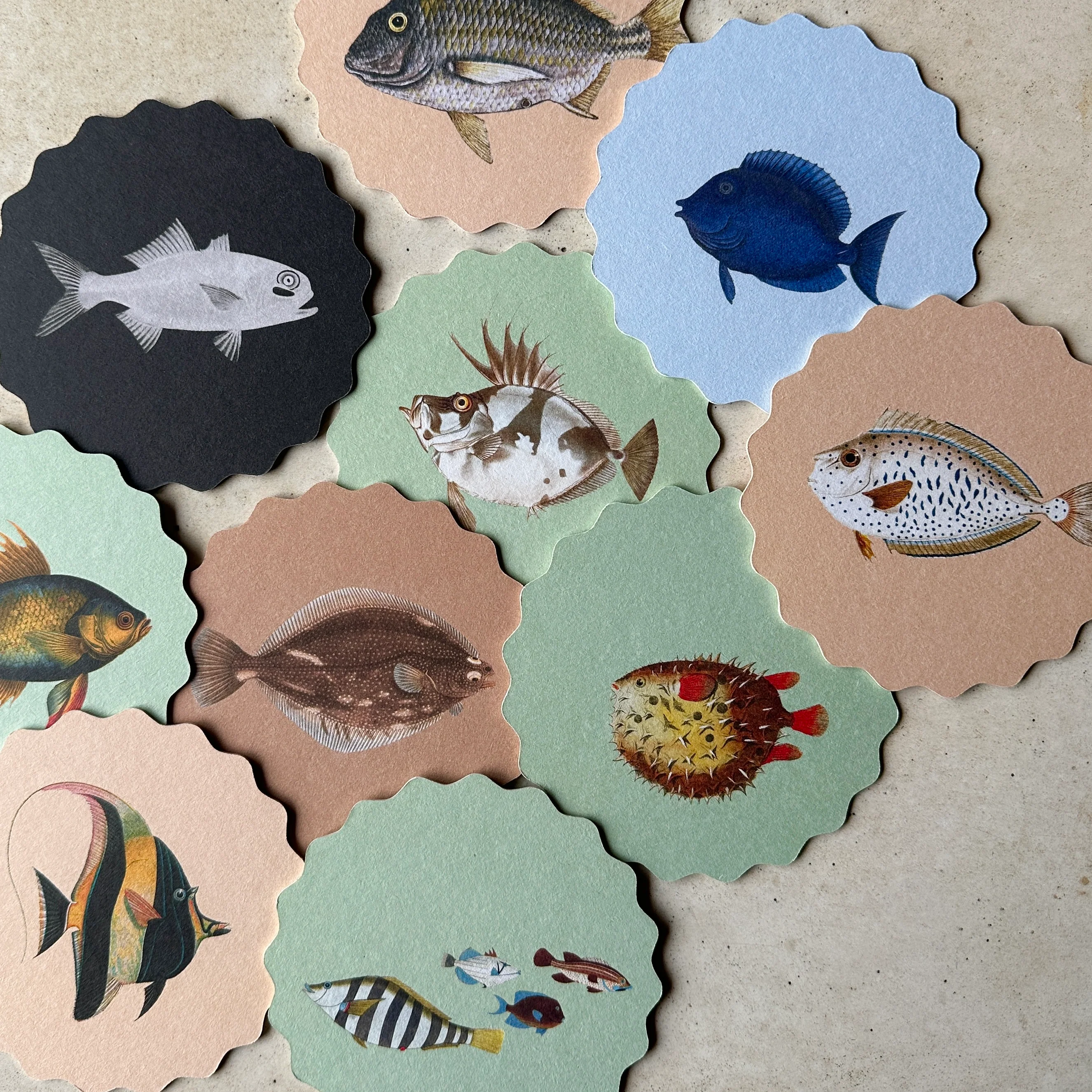 Set of Ten Coasters - Image 3