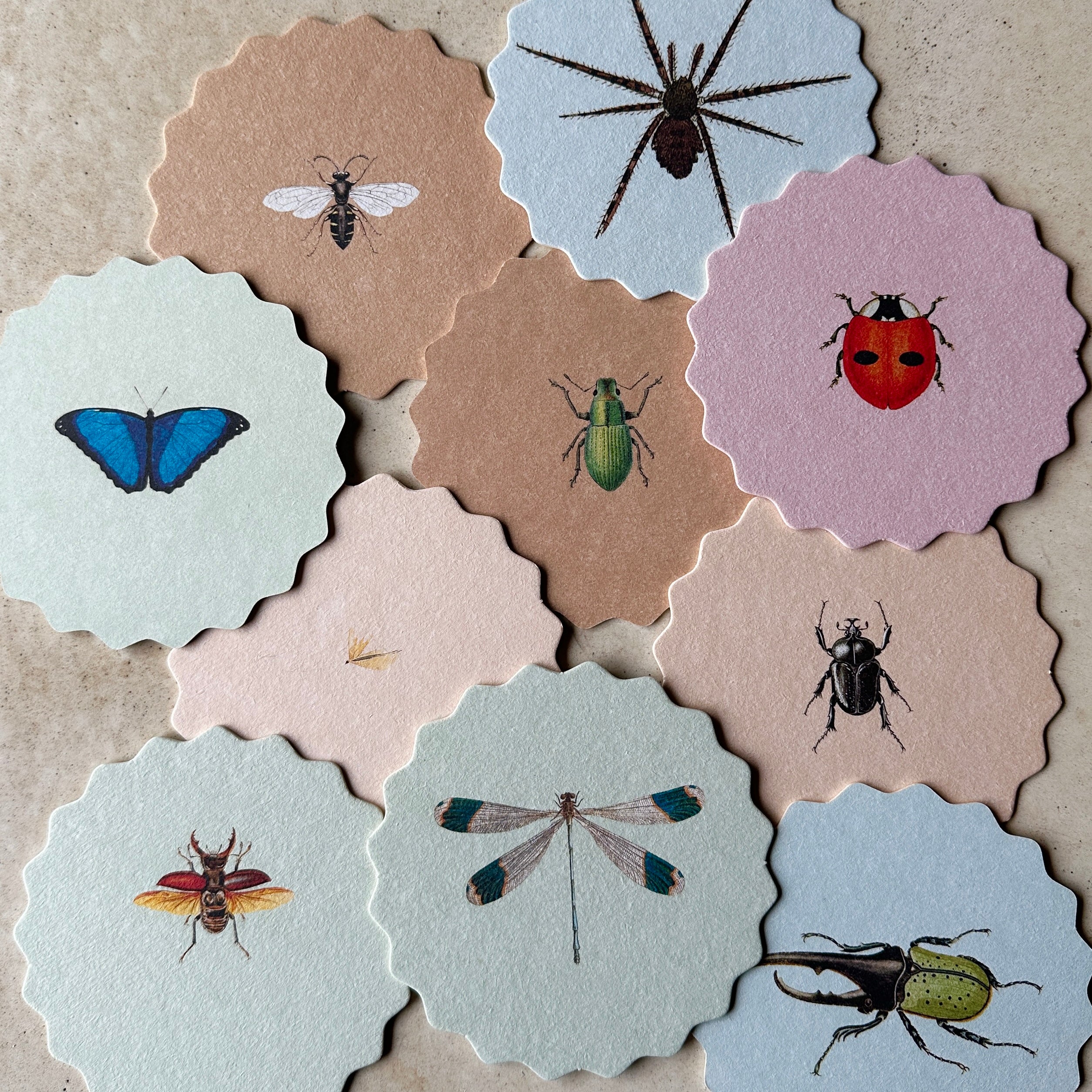 Set of Ten Coasters - Image 4