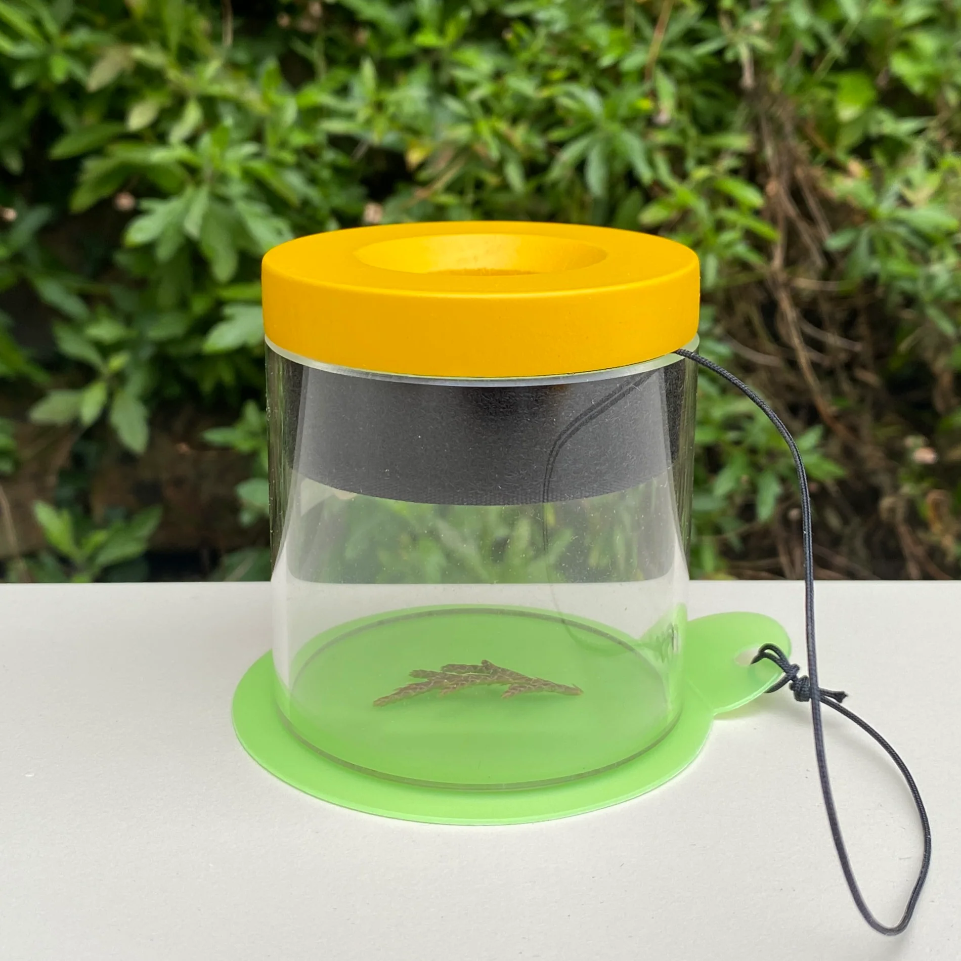 Magnifying Cup