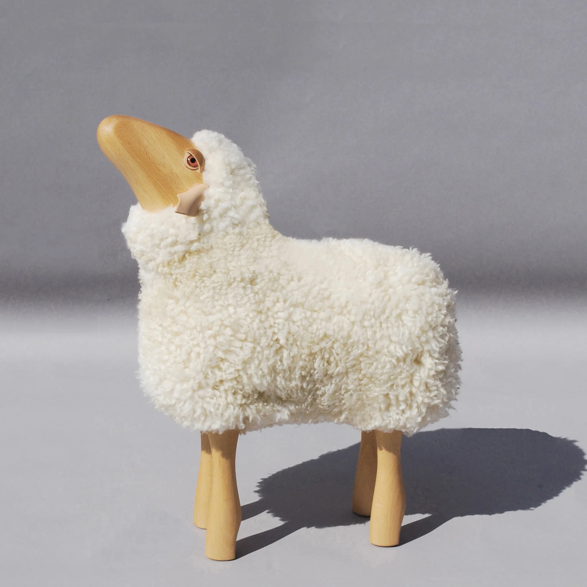 Sheep - Image 6